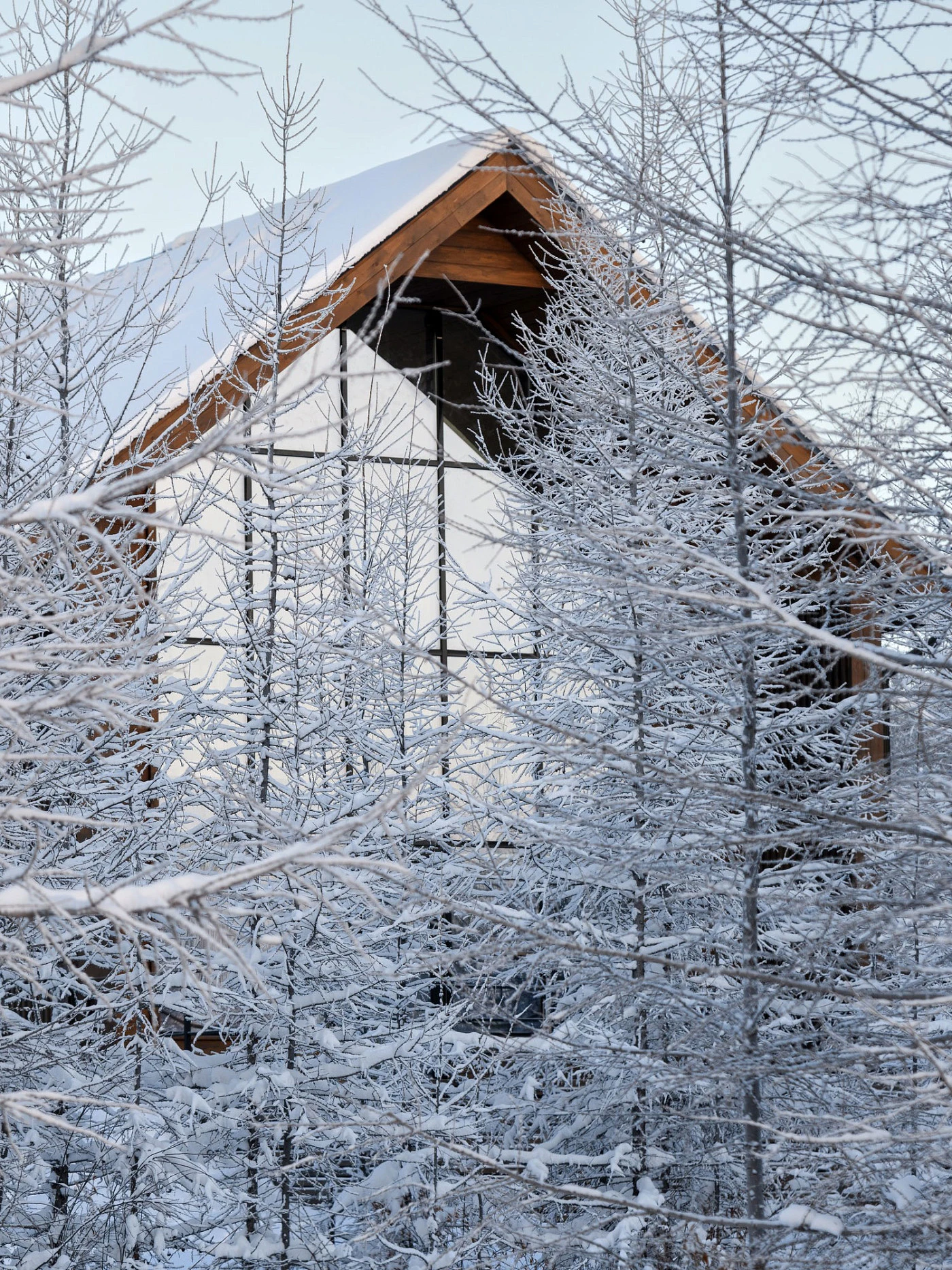 NARAADA Village. Хранилище историй и легенд